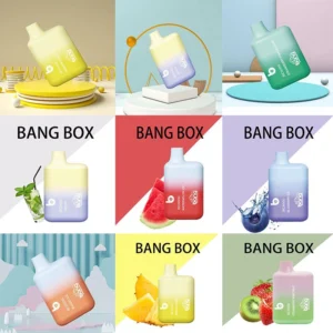 Bang BC5000 Box 5000 Puffs Disposable Vape Nicotine 0% 2% 3% 5% Made in China Wholesale Original Quality Bulk Orders Multiple Flavors OEM Services10