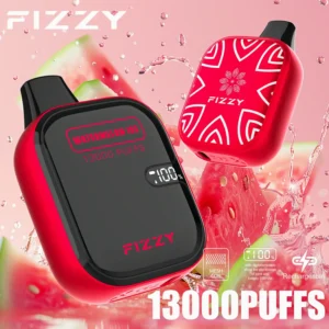Fizzy Boom 13000 Puffs Double Mesh Coil Disposable Vape Wholesale Factory Supply Multiple Flavor Selections 2% 5% Nicotine