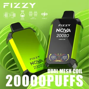 Bulk Fizzy Nova 20000 Puffs Double Mesh Coil Disposable Vapes from Shenzhen Factory Wide Flavor Choices for Wholesale Orders 2% 5% Nicotine