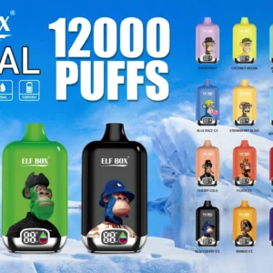 ELF BOX Digitale 12000 Soffi