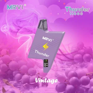 MRVI THUNDER 11000 PUFFS Hurtownie Jednorazowe Vape 2 3 5 Nikotyna 19ml E Płyn Z Ekranem Mocy Wyświetlacz 2024 Popularne 5