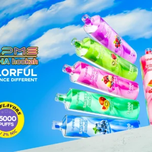 Vapme Shisha 15000 Puffs 25ml Large E-Liquid Fresh Original Disposable Vape Wholesale Bulk Orders with Flavor Variety 0% 2% Nicotine