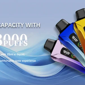 Vasy Disposable Vapes for Germany Vapers1