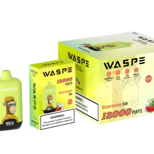 Atacado Waspe 12000 Puffs Caixa Digital Caneta Vape Descartável com Display LCD 20ml Capacidade Bobina de Malha Múltiplos Níveis de Nicotina 0 2 3 5 12