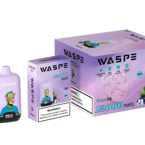 Atacado Waspe 12000 Puffs Caixa Digital Caneta Vape Descartável com Display LCD 20ml Capacidade Bobina de Malha Múltiplos Níveis de Nicotina 0 2 3 5 13