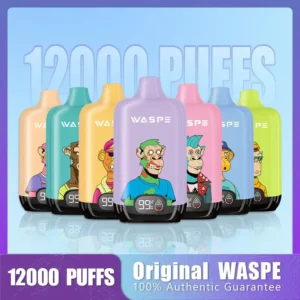 Atacado Waspe 12000 Puffs Caixa Digital Caneta Vape Descartável com Display LCD 20ml Capacidade Bobina de Malha Múltiplos Níveis de Nicotina 0 2 3 5 7