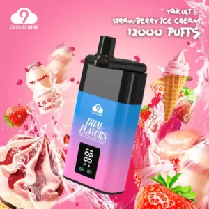 CLOUD NINE D19P 9000 Puffs Vapes desechables Compra al por mayor con una amplia gama de sabores Batería recargable Nicotina 3%9