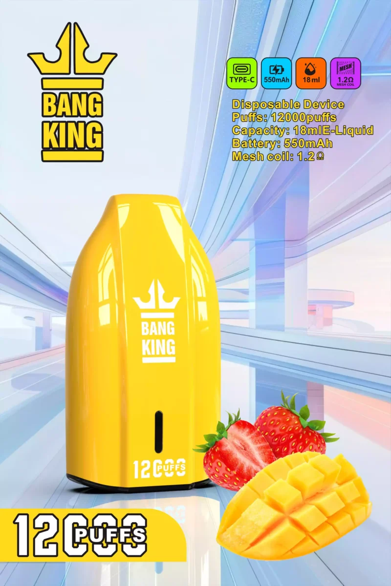 BANG KING 12000 Puffs 600mAh Akku Kertakäyttöinen Vapes Factory Direct tukkumyynti ja valikoima makuja 0% 2% 3% 5% Nikotiini (13)