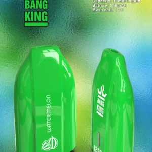 BANG KING 12000 Puffs 600mAh Akku Kertakäyttöiset Vapes Tukkumyynti suoraan tehtaalta ja erilaisia ​​makuja 0 2 3 5 Nikotiini 6
