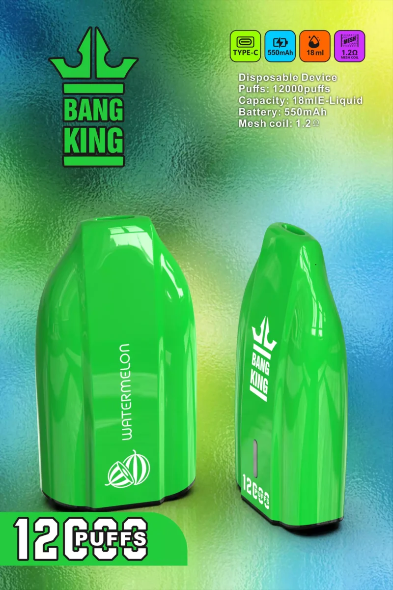 BANG KING 12000 Puffs 600mAh Akku Kertakäyttöinen Vapes Factory Direct tukkumyynti ja valikoima makuja 0 2 3 5 Nikotiini 6 skaalattuna