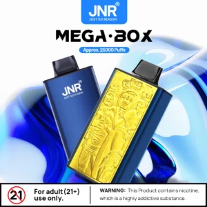 Hot Selling JNR Mega Box 25000 Puffs Wholesale Disposable Vape With 0% 2% 5% Nicotine Rechargeable Battery 850 mAh Type-C Quick Charge High Capacity 30ml E-liquid Bulk Purchase (6)