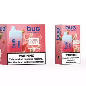 BUG 04 BC5000 Puffs 5000 Puffs 12ml E Liquid And Type C Recharge For A Superior Vaping Experience (2)