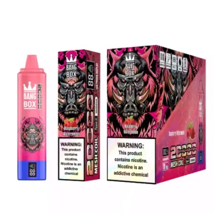Discover the Future of Vaping with Bang BOX 20000 Puffs 0.8 Ohm Mesh Core and 35ml of Premium E Liquid 1