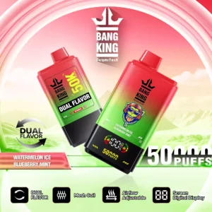 Premium BANG KING 50000 BK50 Disposable Vape With 0% 2% 3% 5% Nicotine Factory Direct Wholesale (2)