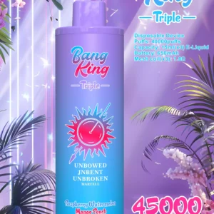 Trending Item BANG KING 45000 Puffs BK45 Disposable Nicotine Device With 0 2 5 Nicotine Rechargeable 650mAh Volume Purchase from Primary Factory 9