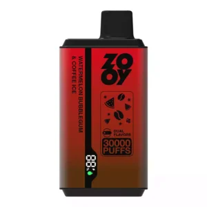 Trustworthy ZOOY Twins 30000 Puffs Disposable Vape With TYPE C Recharge Dual Mesh Coil And Smart Display For Direct Wholesale Purchase 10