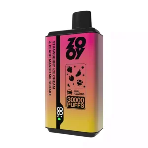 Trustworthy ZOOY Twins 30000 Puffs Disposable Vape With TYPE C Recharge Dual Mesh Coil And Smart Display For Direct Wholesale Purchase 2