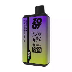Trustworthy ZOOY Twins 30000 Puffs Disposable Vape With TYPE C Recharge Dual Mesh Coil And Smart Display For Direct Wholesale Purchase 7
