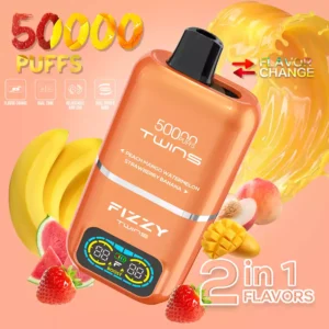 FIZZY Twins 50000 Puffs 50ML di liquido elettronico e 12 aromi con bobina a rete per un piacere di svapo prolungato 15