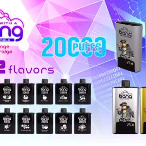 BANG 20000 DSK046 High Capacity B20HD Vape 20ml Juice Type C Charging Port 1