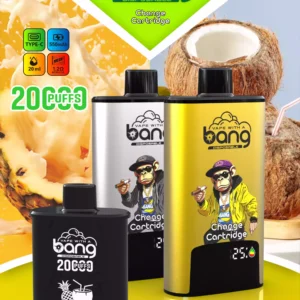 BANG 20000 DSK046 High Capacity B20HD Vape 20ml Juice Type C Charging Port 10