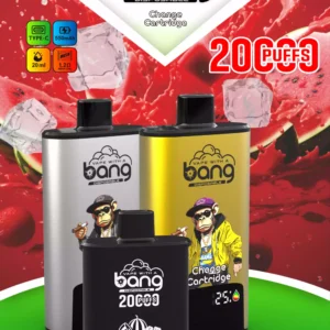 BANG 20000 DSK046 High Capacity B20HD Vape 20ml Juice Type C Charging Port 5